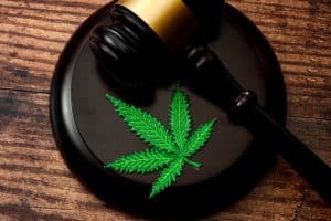 What Are the Collateral Consequences of a Marijuana Conviction?